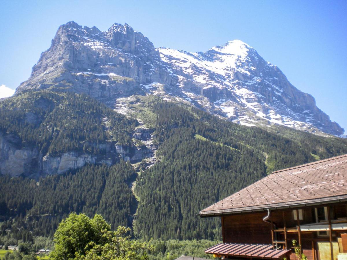 Apartment Chalet Almisraeba By Interhome Grindelwald Exterior photo