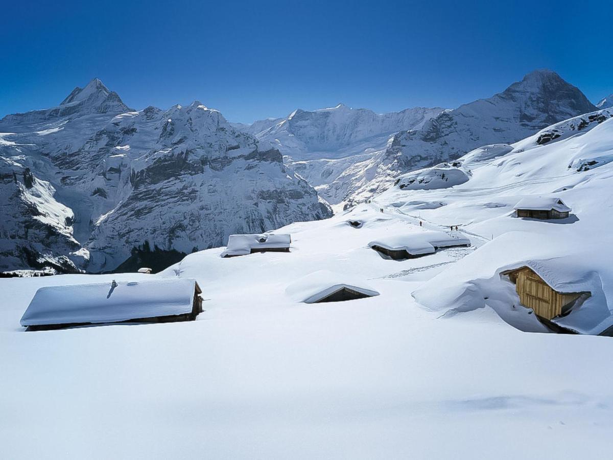 Apartment Chalet Almisraeba By Interhome Grindelwald Exterior photo